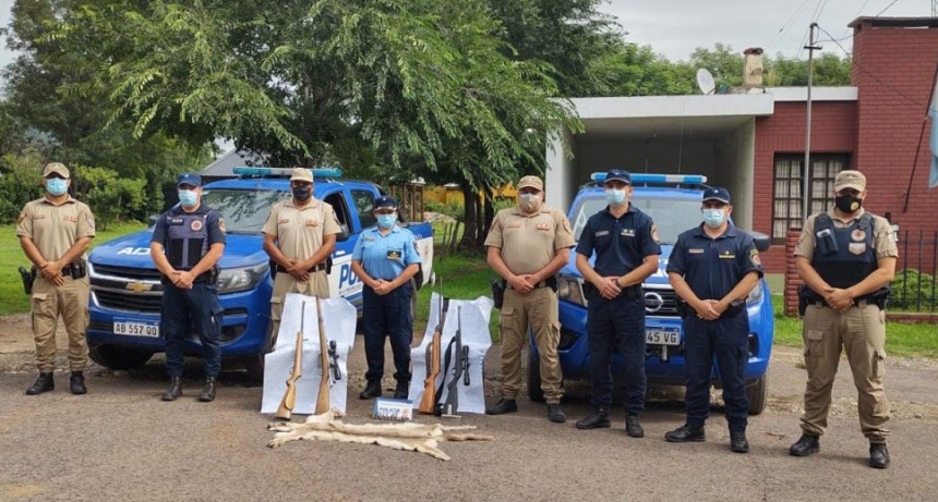 Allanamientos positivos con secuestro de armas y plantas marihuana