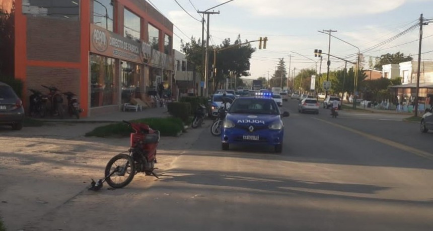 Accidente de tránsito y secuestro de animales sueltos