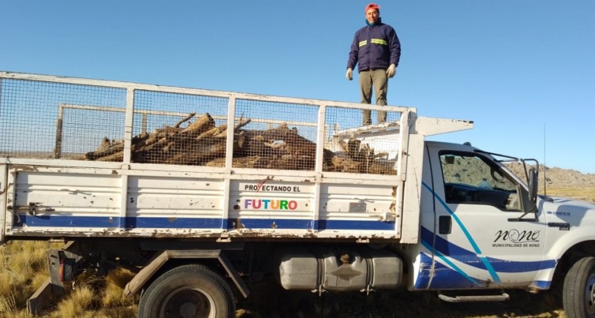 Operativo de entrega de leña en parajes de Nono
