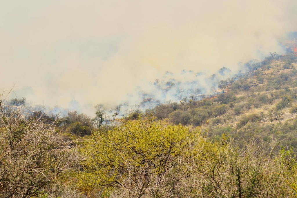 INCENDIO CONTROLADO