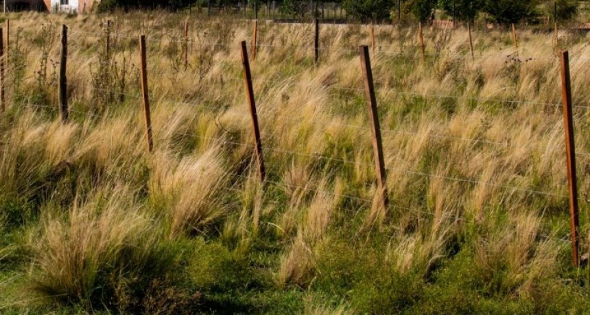 VENTA DE TERRENO EN PANAHOLMA