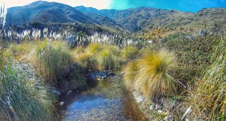 Presencia de viento en este jueves