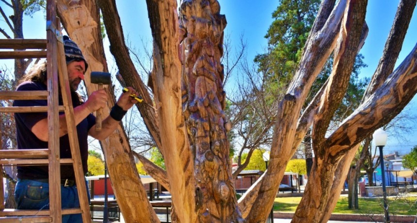 Árbol emblemático se transforma en obra de arte