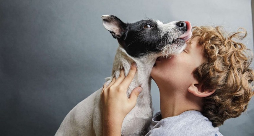 Arranca un taller sobre comportamiento canino